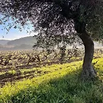 Et Ses Tresors * קסיס