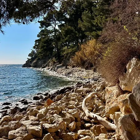 Apartment Et Ses Tresors Cassis