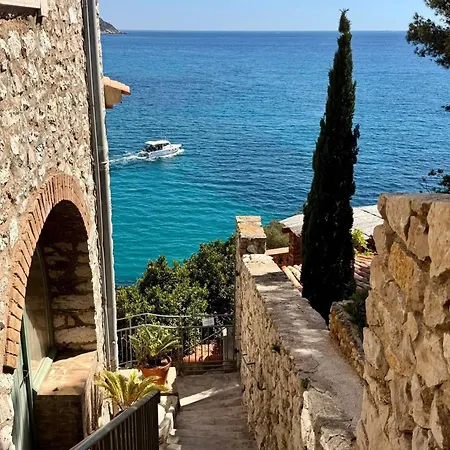 Et Ses Tresors * Cassis