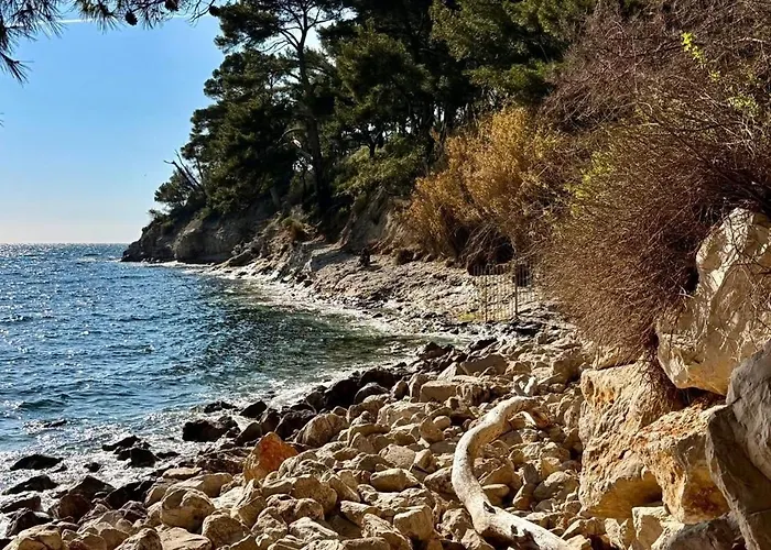 Apartment Et Ses Tresors Cassis