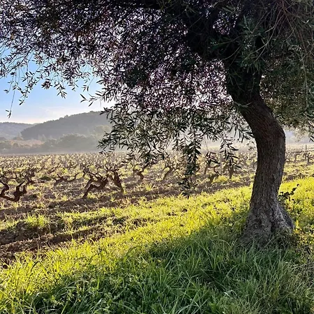 Et Ses Tresors * Cassis